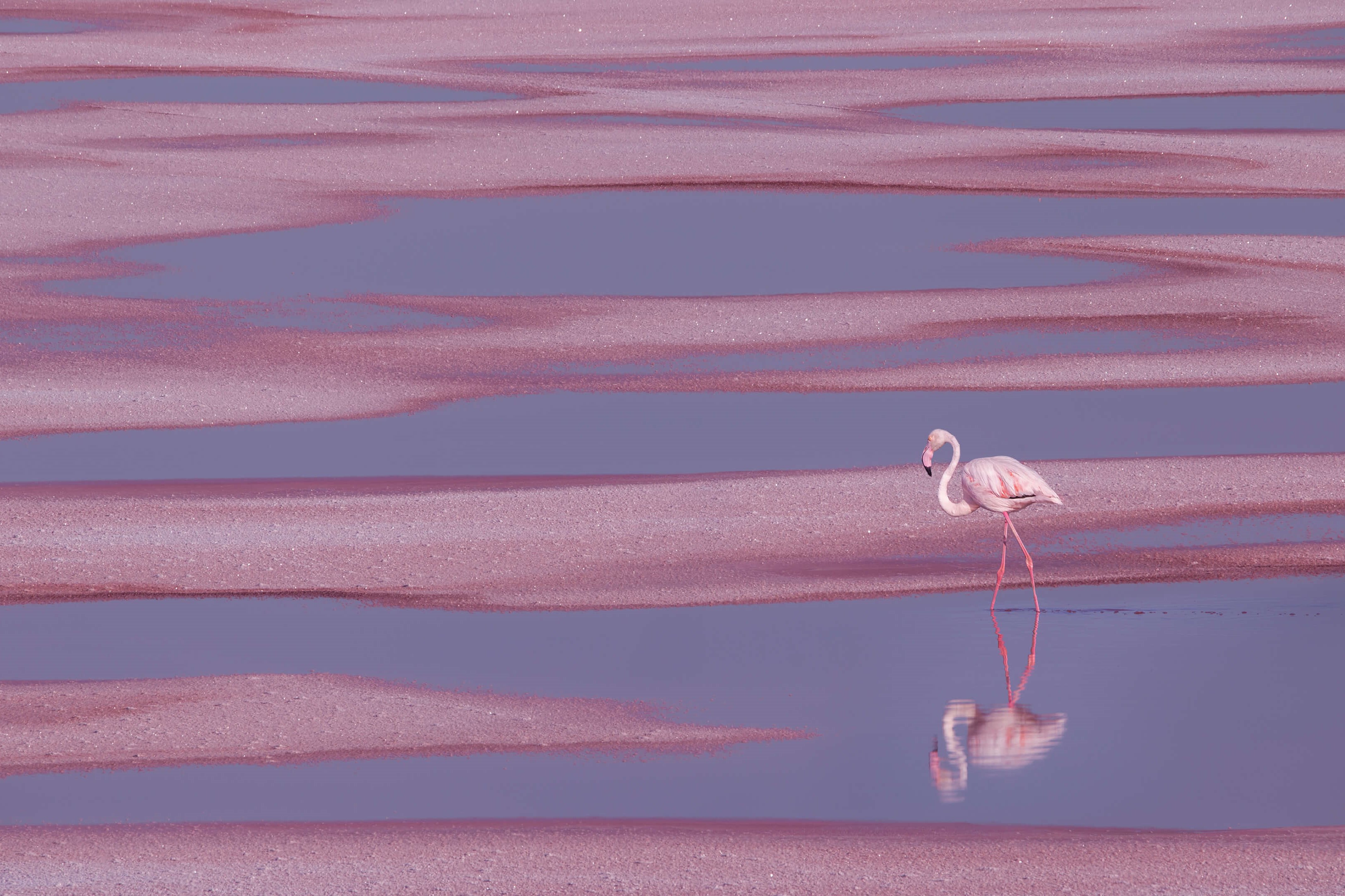 Android 某八字软件破解